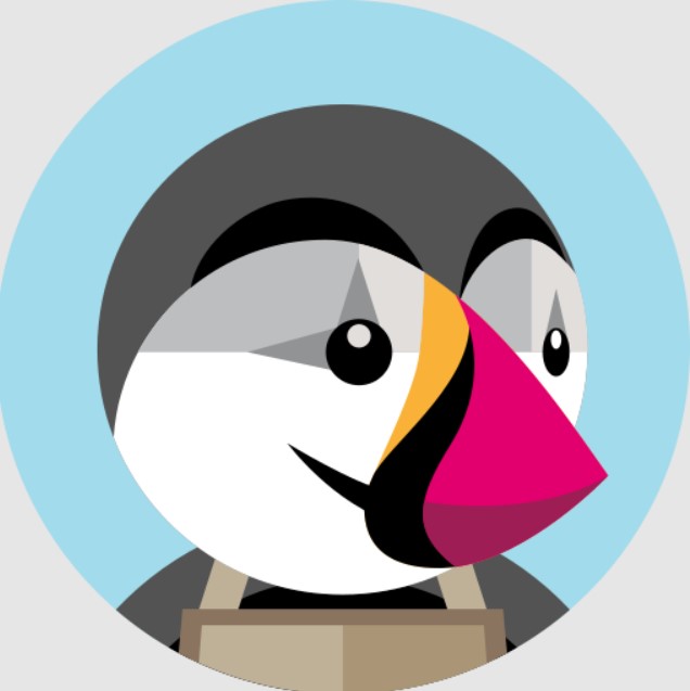 Add Instagram Feed to PrestaShop Website