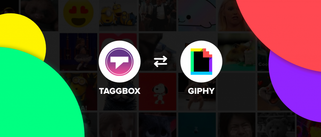 incorporare gif sul sito web