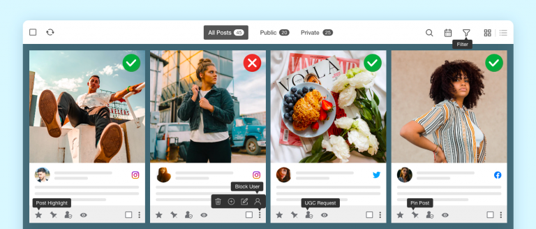 Social Media Moderation
