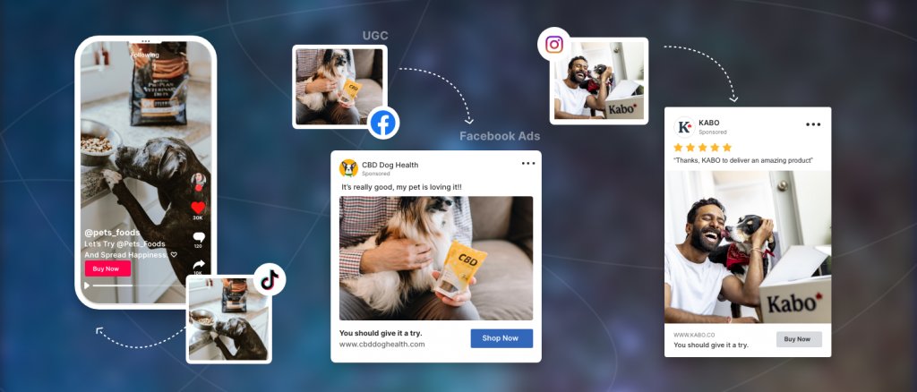 UGC in Facebook, Instagram & TikTok Ads
