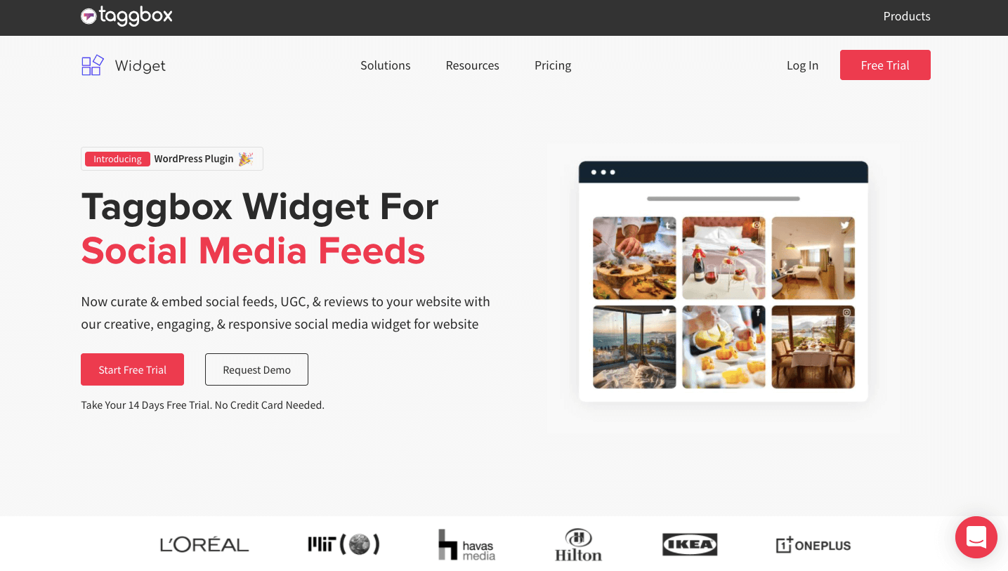 Taggbox Widget WordPress Plugin