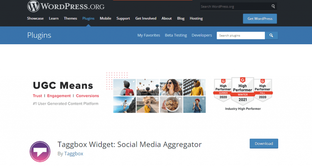 Taggbox Widget WordPress Plugin 