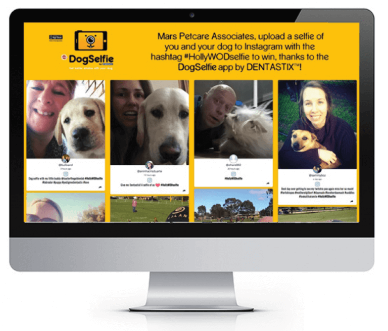 Pedigree Australia's Dog Selfie Campaign