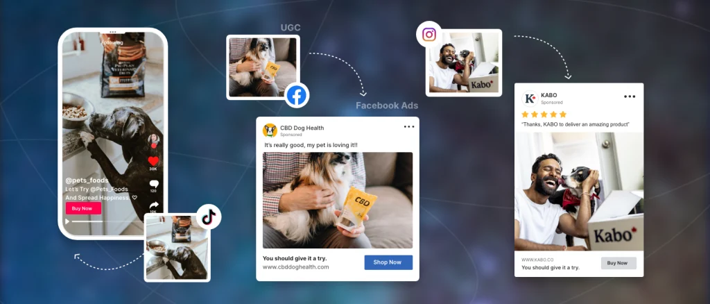 leverage ugc on social ads