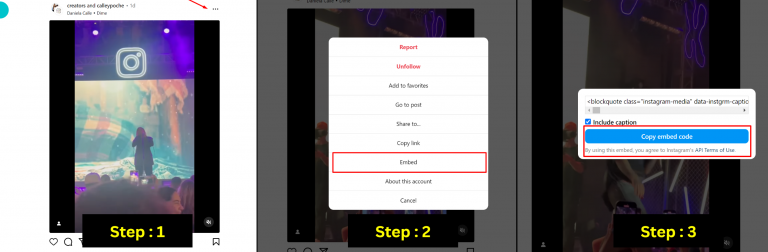 How to Embed Instagram Reels on Website? [2026 Guide]