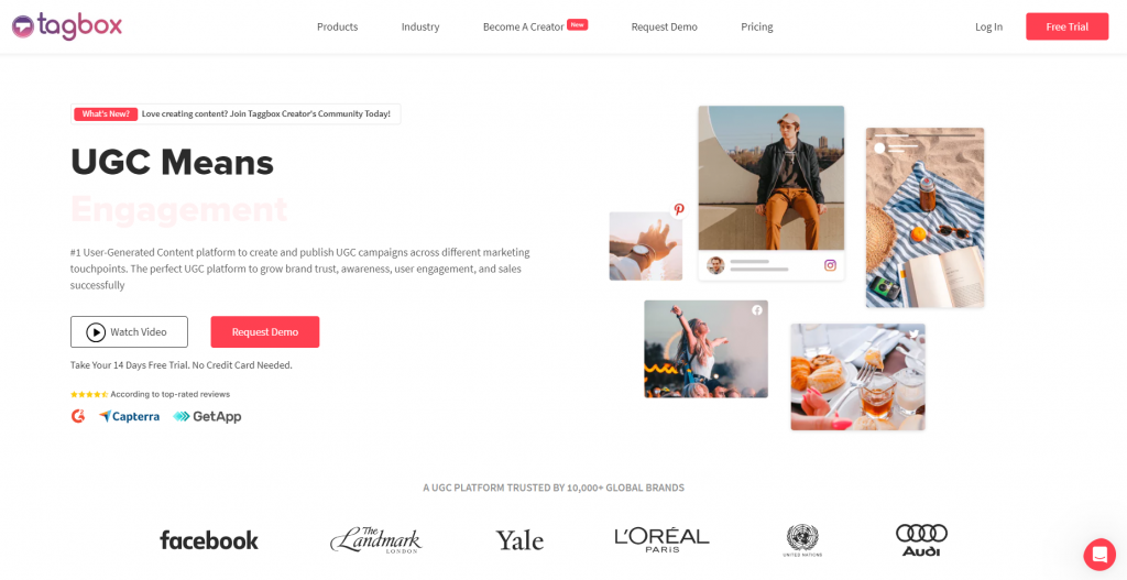 tagbox - best ugc platform