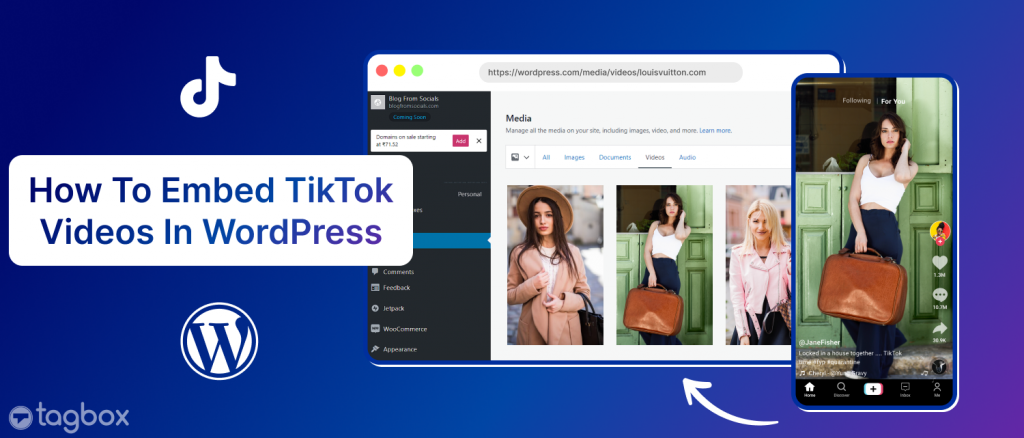 tiktok sur wordpress