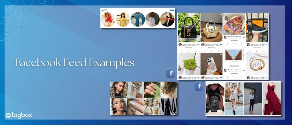 Facebook Feed-voorbeelden