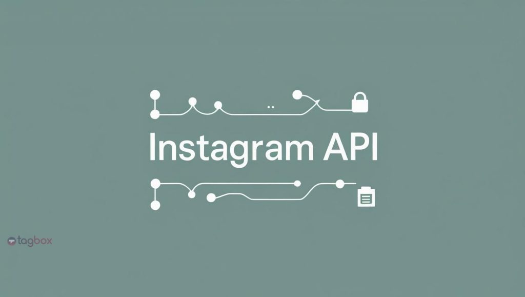 Instagram API