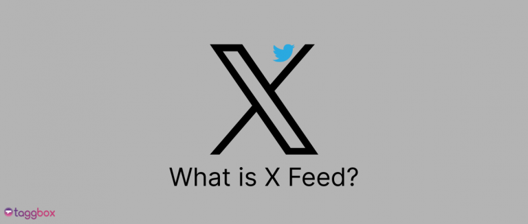 ¿Qué es el feed x?
