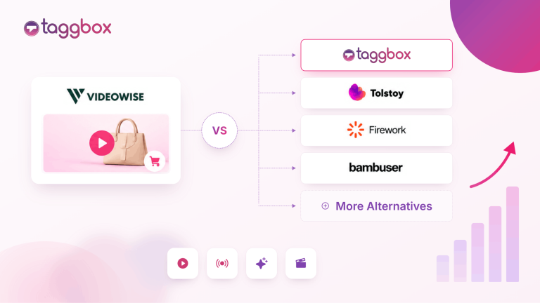 Videowise Alternatives Feature