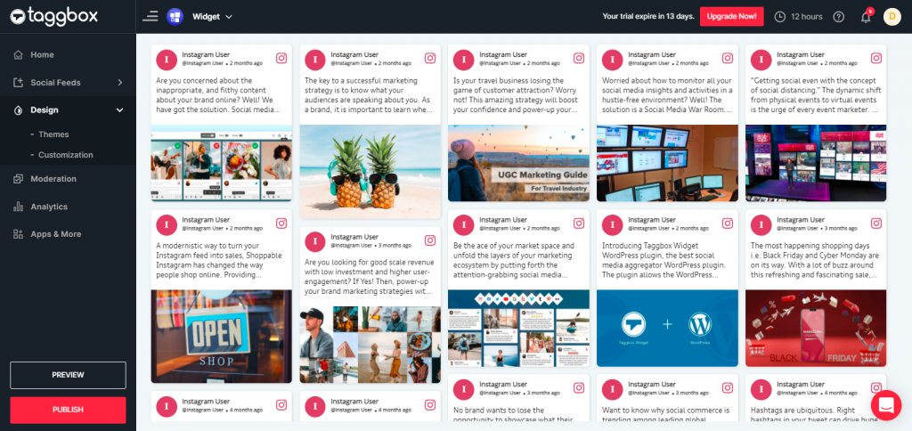 Preview & Publish Instagram Feeds Widget