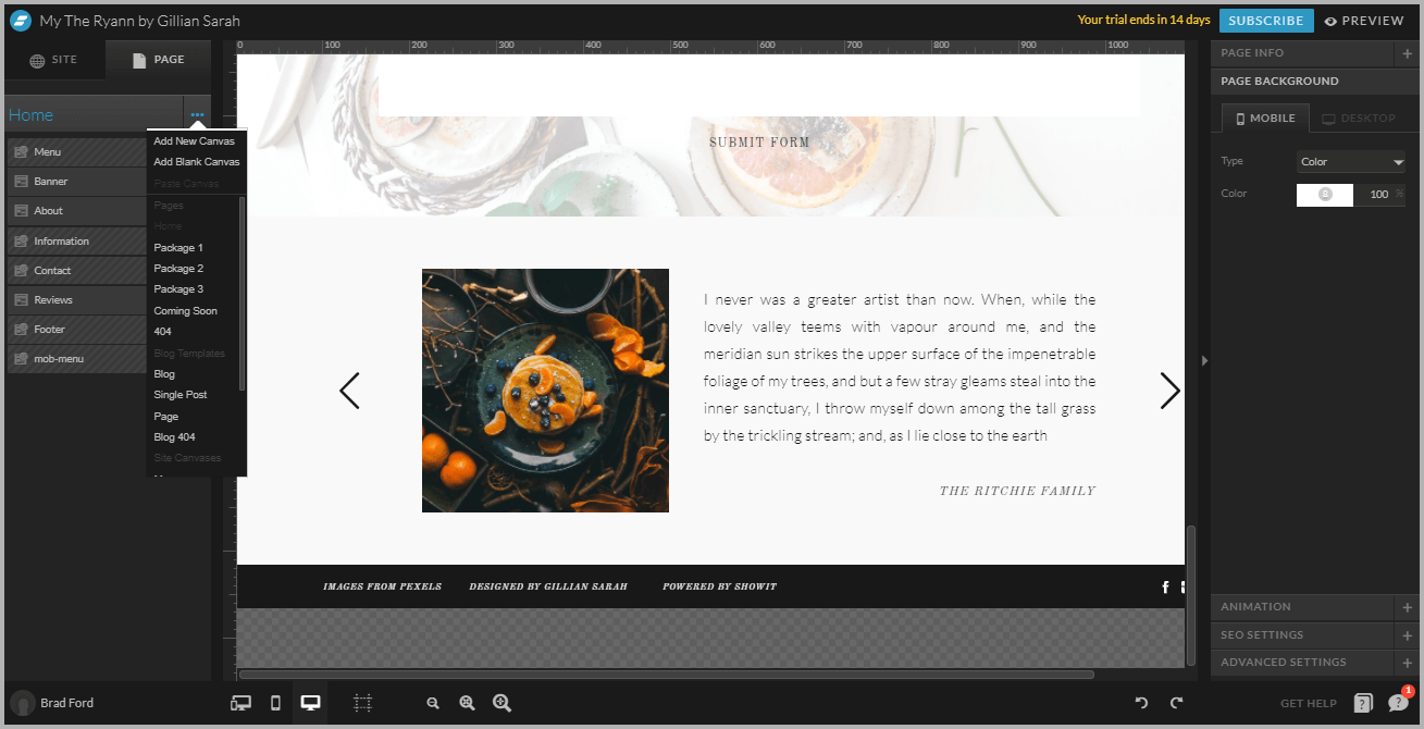 Display Instagram Feeds On Showit Website