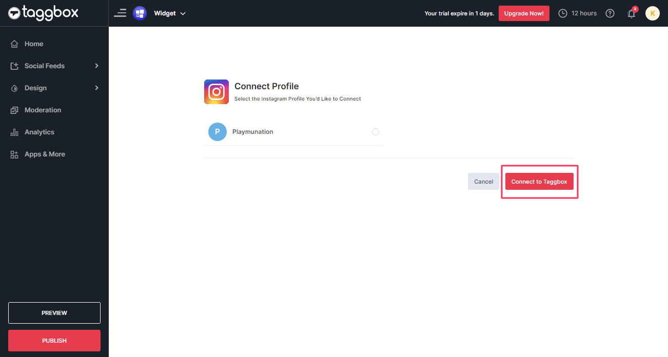 Embed Instagram Feeds On Showit Website