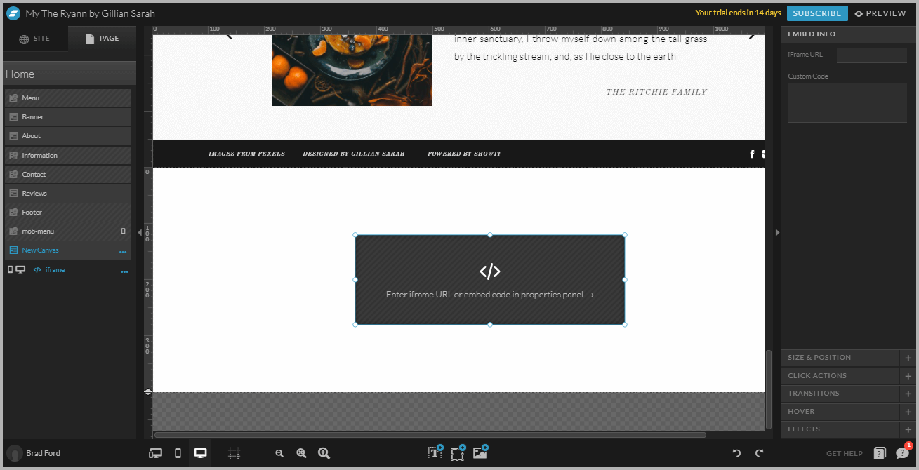 Display Instagram Feeds On Showit Website