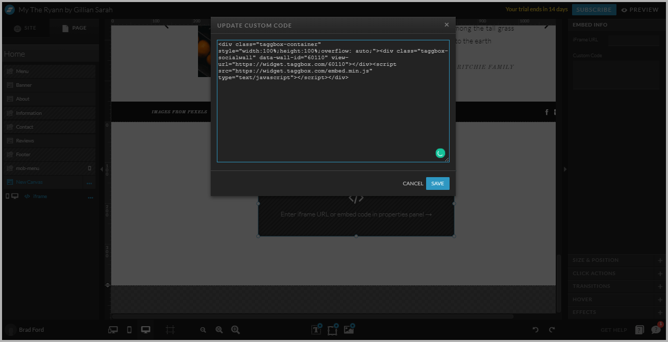 Embed Instagram Feeds On Showit Website