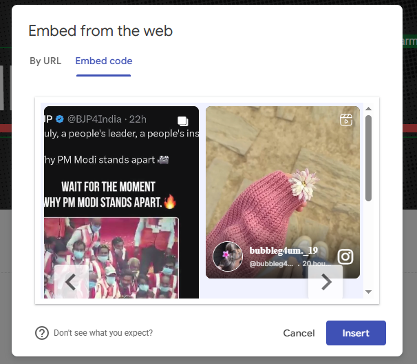 insert your embed code