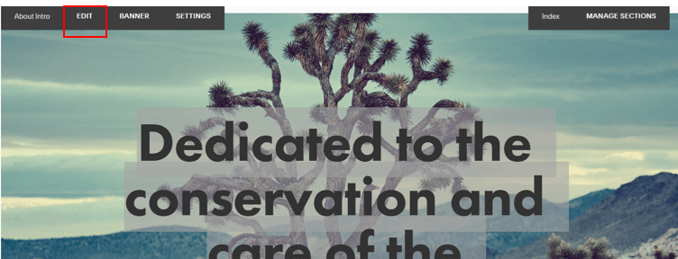Add vimeo video gallery on squarespace website